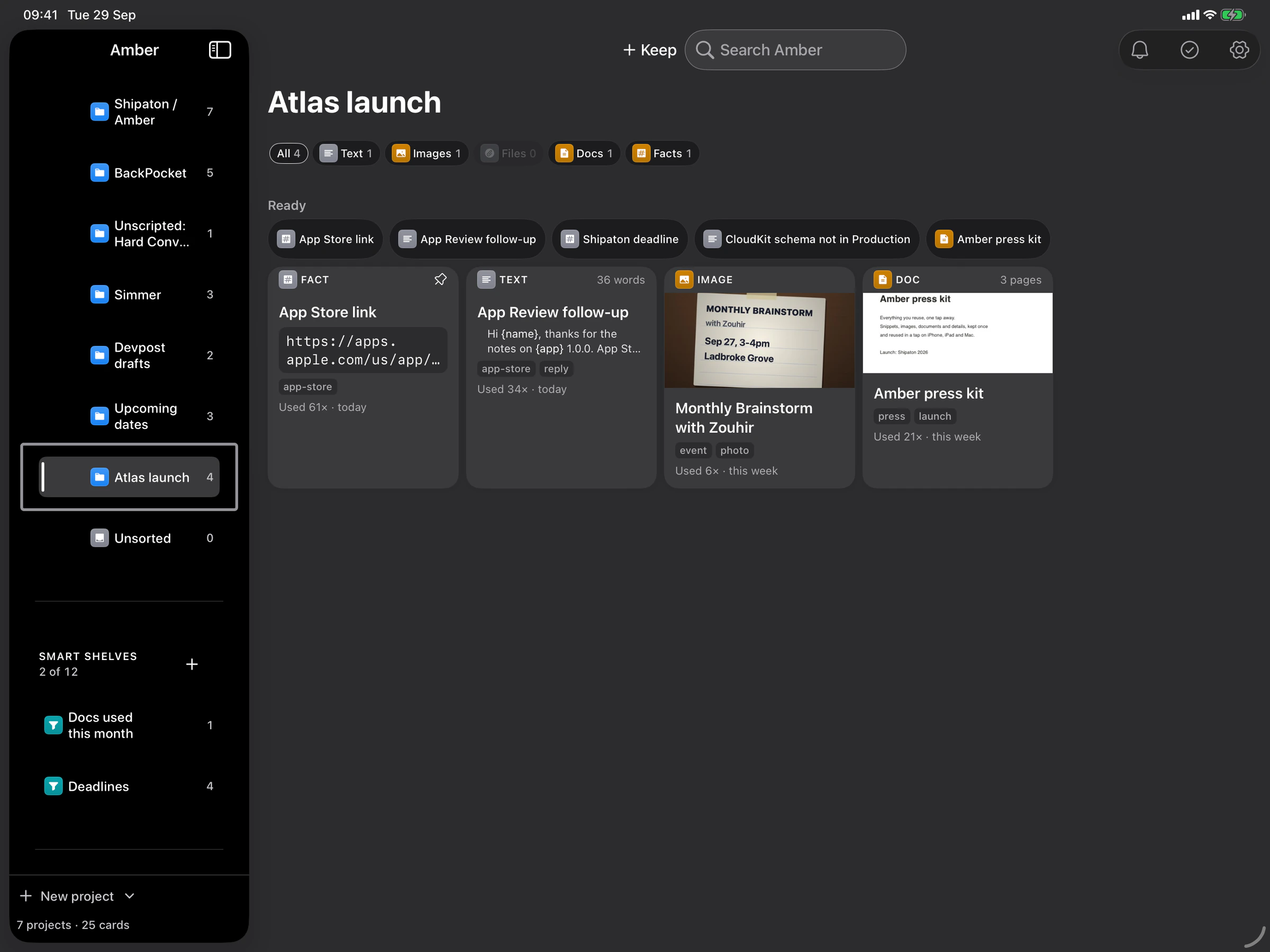 Amber on an iPad: the Atlas launch project holding a fact, a text template, a photo and a PDF, filtered by kind.